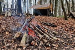 Woodland base camp in the Chilterns - where David Willis teaches Bushcraft